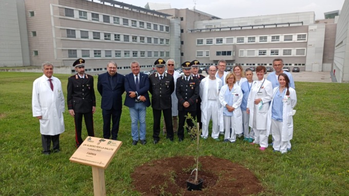 Piantumata all’ospedale di Legnano la farnia donata dai Carabinieri