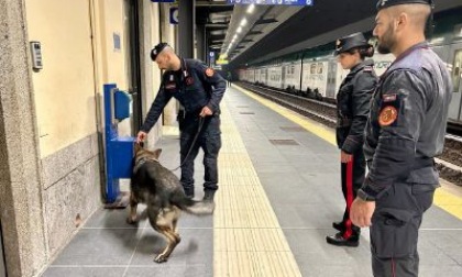 Controlli in stazione a Rho e nel parco delle Groane, più sicurezza grazie ai Carabinieri