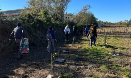 Il progetto Forestami arriva ad Albairate