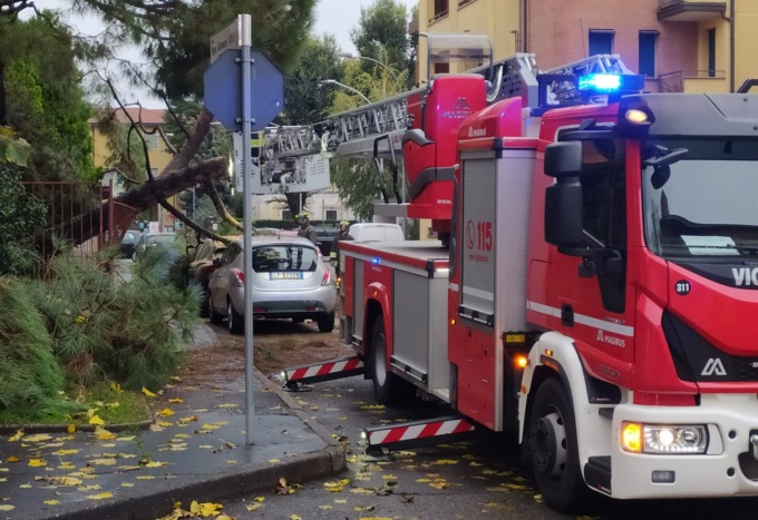 Albero cade in strada: danneggiata un’auto