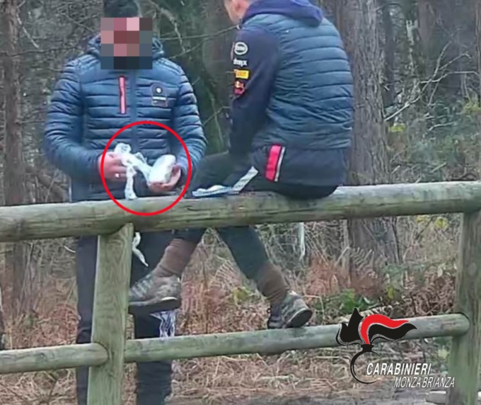 In manette il fornitore del parco delle Groane: era all’interno di una comunità per tossicodipendenti