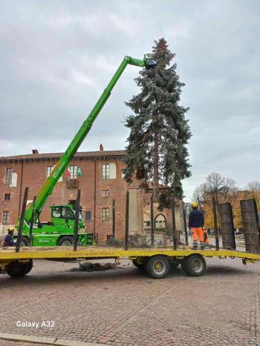 Bià: due alberi di Natale in centro