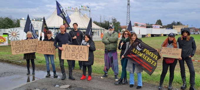 circo