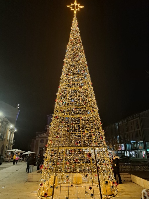 L'albero di Natale si illumina tra i canti dei bambini