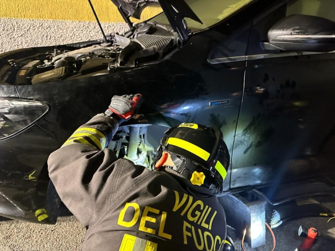 Gatto incastrato nel motore di un’auto: i Vigili del fuoco lo liberano