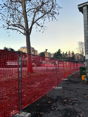 Riqualificazione degli spazi e, finalmente, la nuova palestra: tanti interventi al liceo Rebora