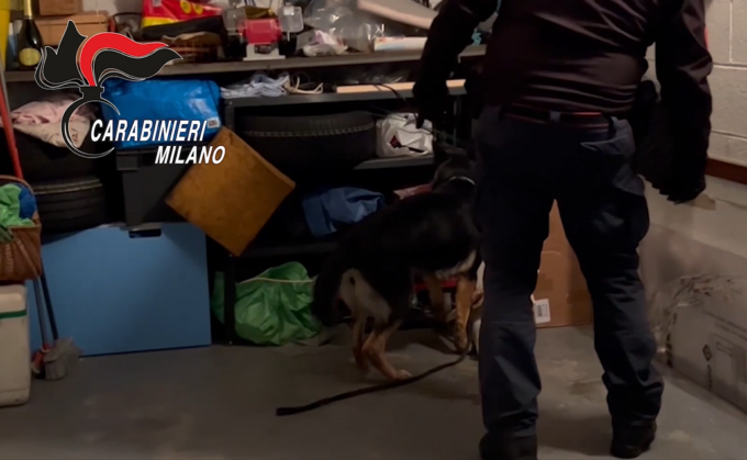 Ordinavano la droga dalla Spagna: arrestate quattro persone VIDEO