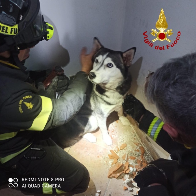 Cane salvato dai pompieri nel condotto di ventilazione