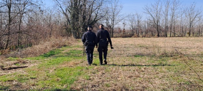 Controlli nel bosco della droga: inseguito, era senza patente