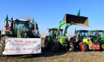 La "Protesta dei trattori" è arrivata anche ad Arluno