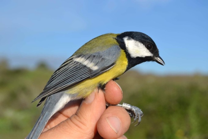 Due serate a tema naturalistico