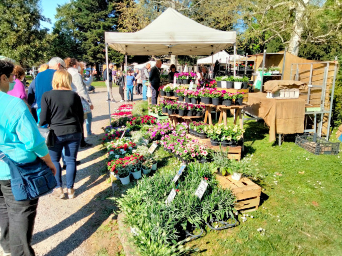 Con Floribunda la Pasquetta è all'insegna dei fiori