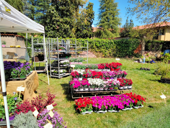 Con Floribunda la Pasquetta è all'insegna dei fiori