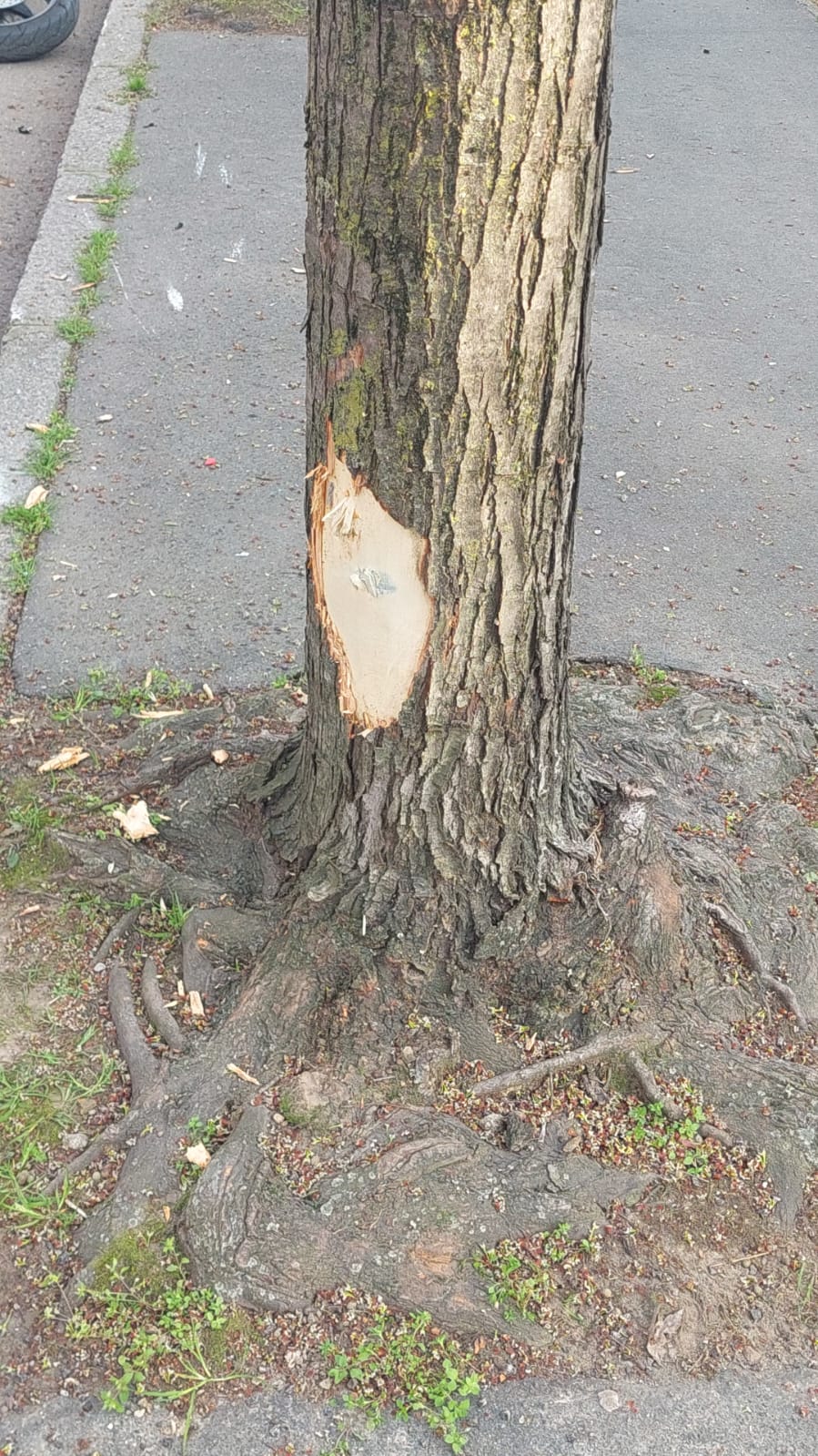 rescaldina moto contro albero automedica via cavalieri di vittorio veneto