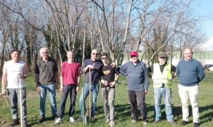 Piantumati nuovi alberi grazie al "Gruppo natura Lainate"