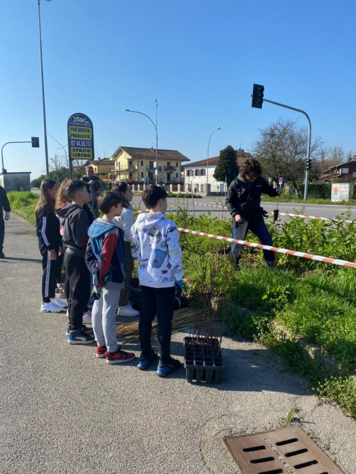 Messa a dimora nuova barriera verde a Gaggiano