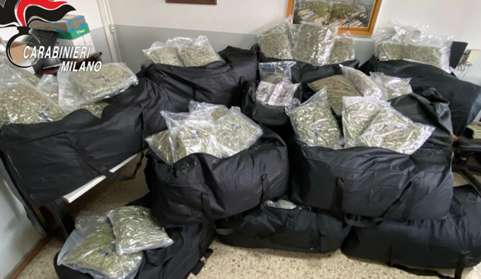 Traffico internazionale di stupefacenti: arrestate 11 persone, 230 chili di marijuana sequestrata