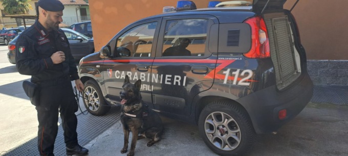 Blitz dei cinofili, trovata droga nel ristorante