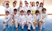 Nuove soddisfazioni per il Taekwondo Vittuone