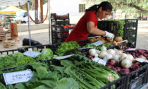 Filiera corta e mercati degli agricoltori in Lombardia