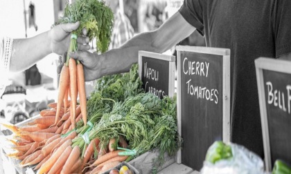 Approvata la mozione per  il mercato agricolo nelle frazioni