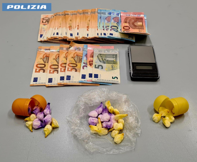 Duplice arresto per tentato furto e spaccio di cocaina