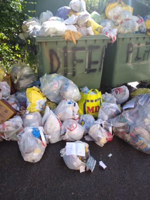 I pattumeros tornano in azione ma la Polizia Locale li multa