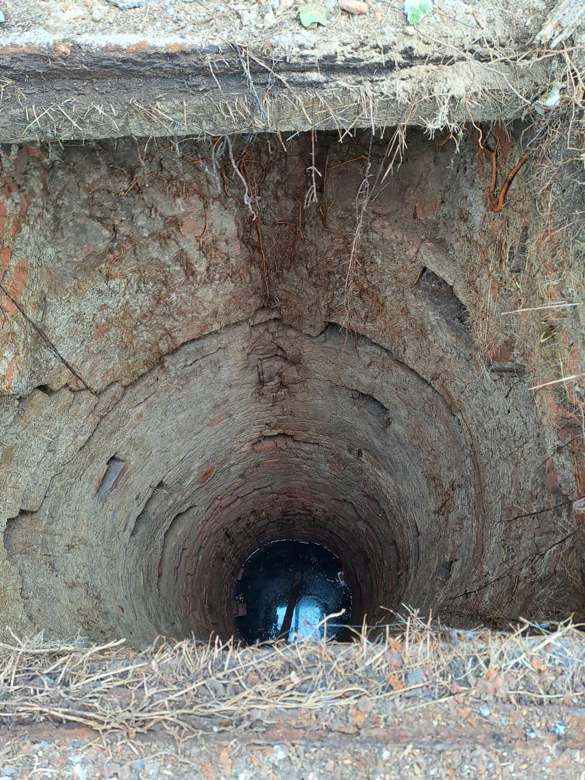 Vittuone Lavori parco Villa Venini4