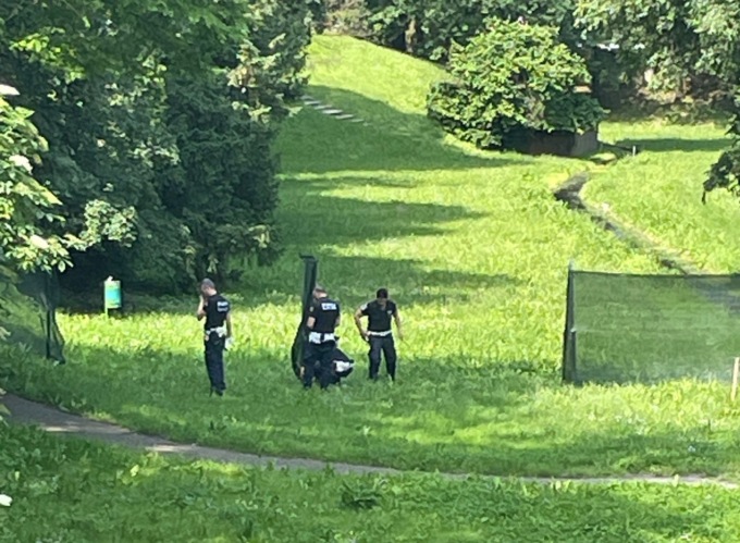 Capriolo salvato dal Parco della Fossa di Bià