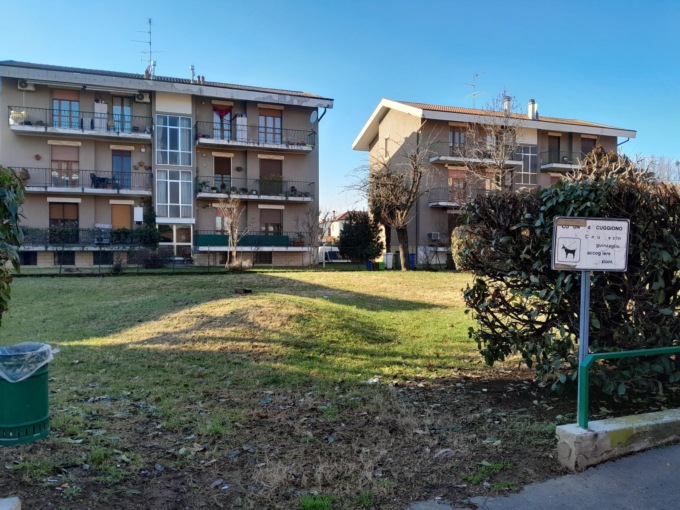 Un’area cani in paese? “I quattrozampe possono sgambare nel verde in periferia”