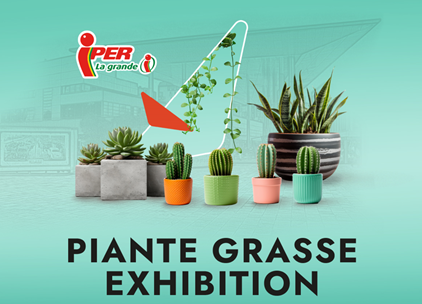 Piante grasse exhibition a Piazza Portello
