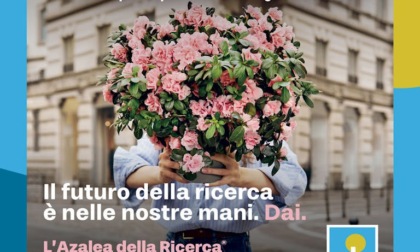 Il 12 maggio torna l'azalea che fa bene alla ricerca contro il cancro