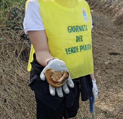 Pulizia del verde, ritrovata anche “una dentiera”