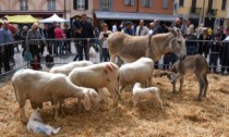 Sabato e domenica transito vietato in piazza San Vittore