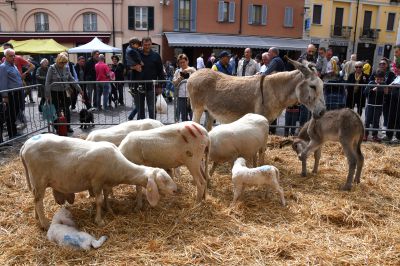 Sabato e domenica transito vietato in piazza San Vittore