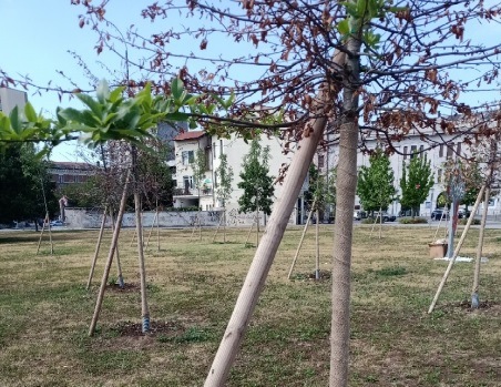 Gioco e socialità per i giovani con “Skill shake”