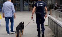 Droga trovata nel centro cittadino e in stazione