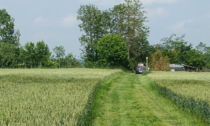 Miasmi nelle campagne, il Comune chiede verifiche sui fertilizzanti