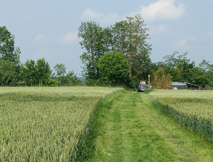 Miasmi nelle campagne, il Comune chiede verifiche sui fertilizzanti