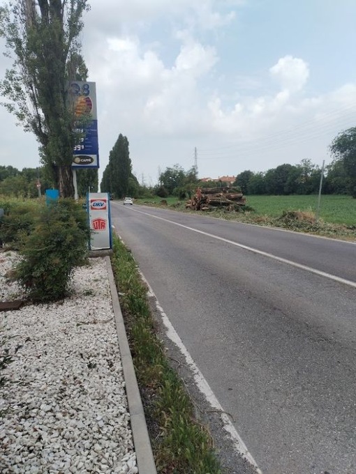 Rho, abbattuti gli alberi pericolanti di via dei Fontanili