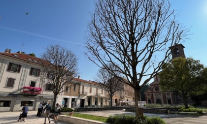 Giù i tre bagolari morti in piazza San Magno