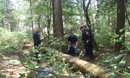 Controllo straordinario contro lo spaccio al Parco delle Groane