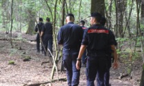 Carabinieri nel Parco delle Groane: smantellato un bivacco degli spacciatori