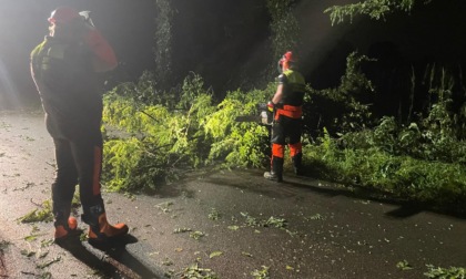 Maltempo, gli effetti della grandinata di venerdì sull'Ovest Milano