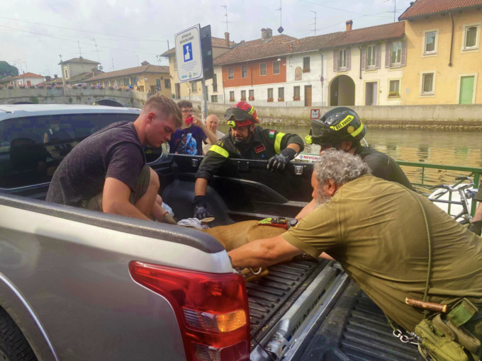 Ragazzo magentino salva capriolo caduto nel Naviglio