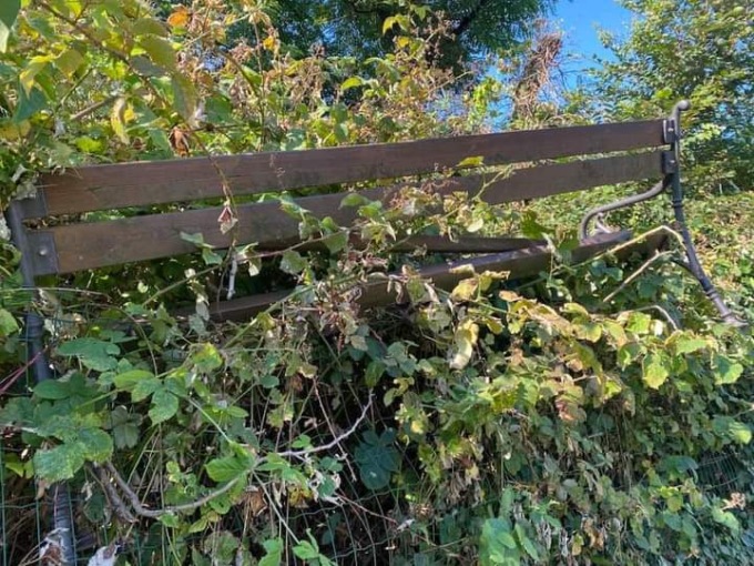 Vandali scatenati in paese