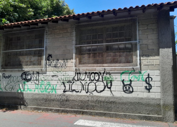 Vandali scatenati in paese
