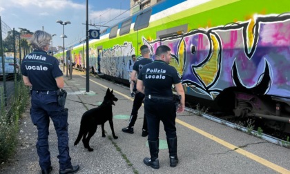 Ad Abbiategrasso Polizia Locale e unità cinofila in azione