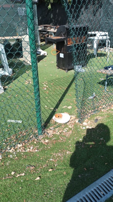 Ladri al centro sportivo di Vighignolo