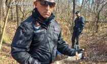 Arrestato per spaccio un 20enne residente a Legnano: in casa due machete e una pistola